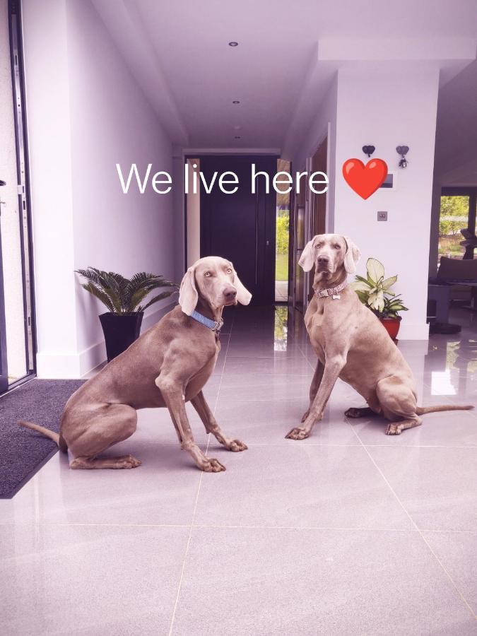 Allen Ridge هيث المظهر الخارجي الصورة